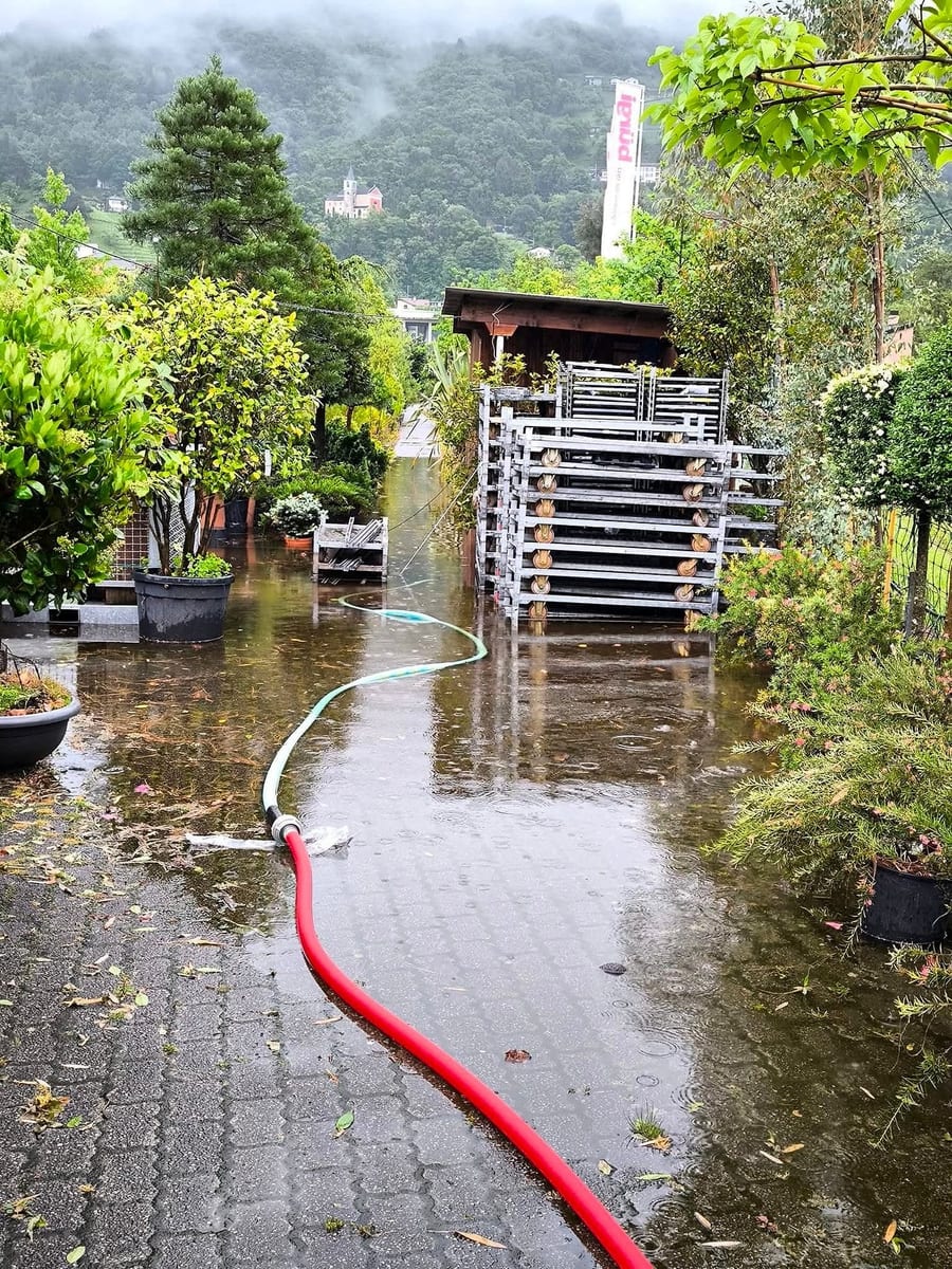 Giardino allagato con la pompa al lavoro e il tubo di scarico steso sul vialetto